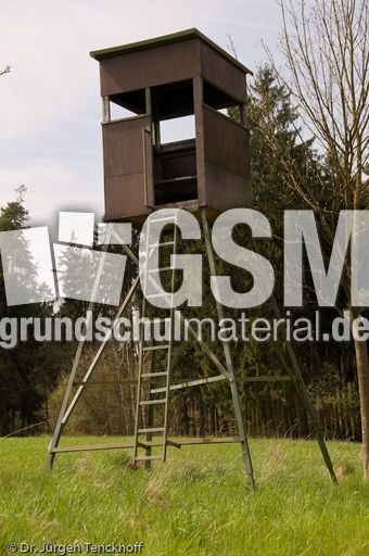 Hochstände (68 von 154).jpg